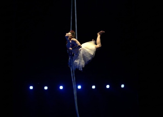 Stage de novembre CRAZY SPIDER 